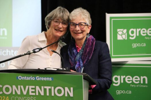 Legh McNabb of Bracebridge Awarded 2024 Becky Smit Green Builders Award at Green Party Ontario Convention